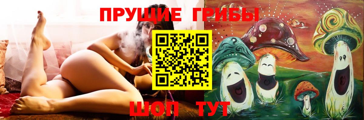 Псилоцибиновые грибы прущие грибы Шатура