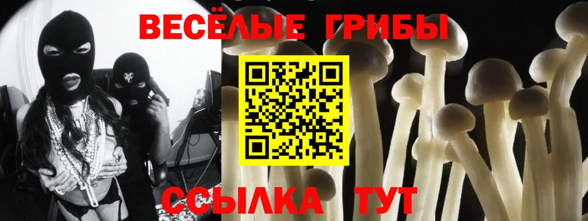 Шатура  Псилоцибиновые грибы Psilocybine cubensis  Вход с VPN 